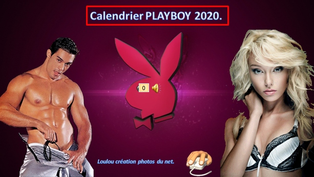 https://loulouspps.biz/wp-content/uploads/2019/11/calendrier-playboy-2020.jpg